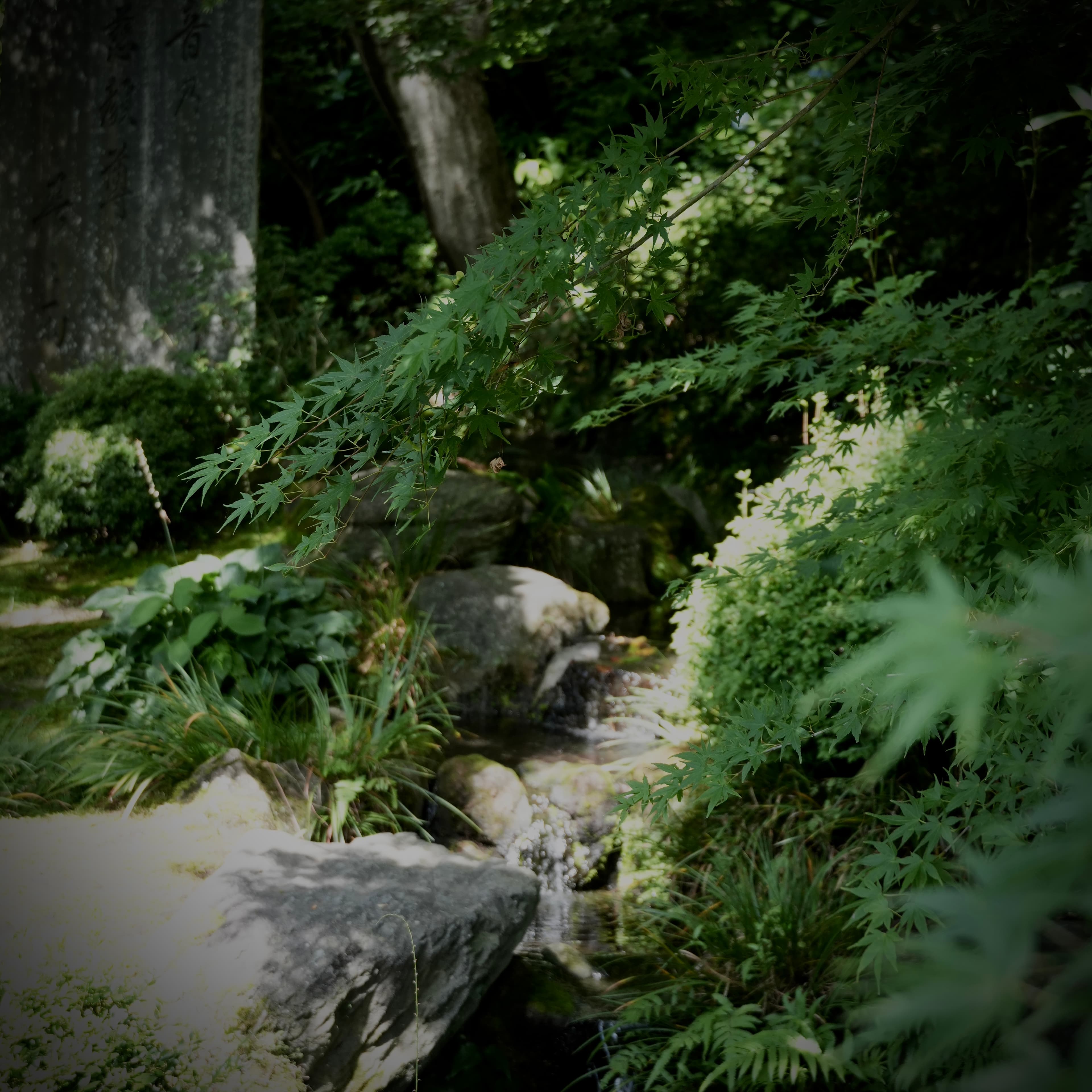 Hasedera, Kamakura, Kanagawa, Japan