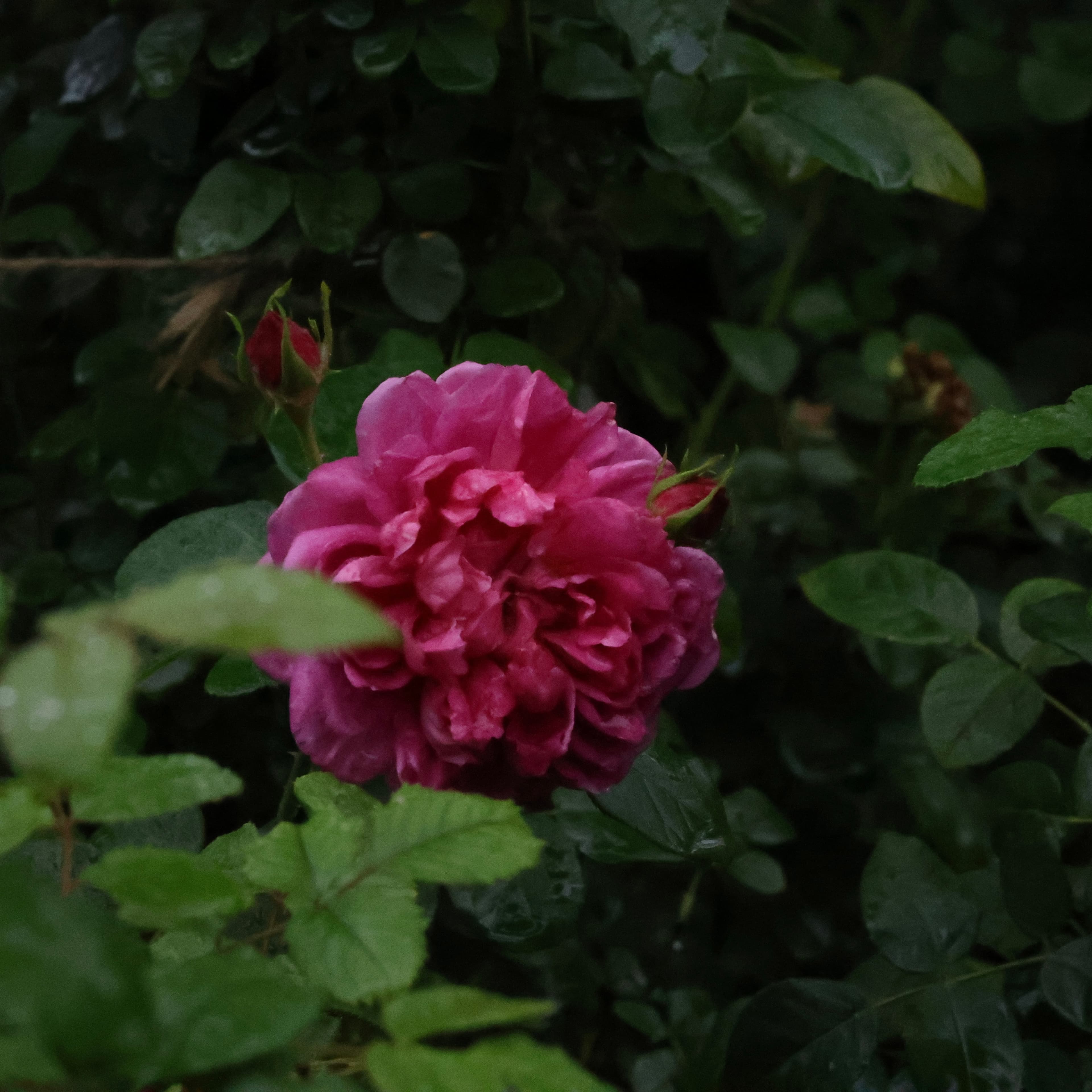 YEG, Yokohama, Kanagawa, Japan