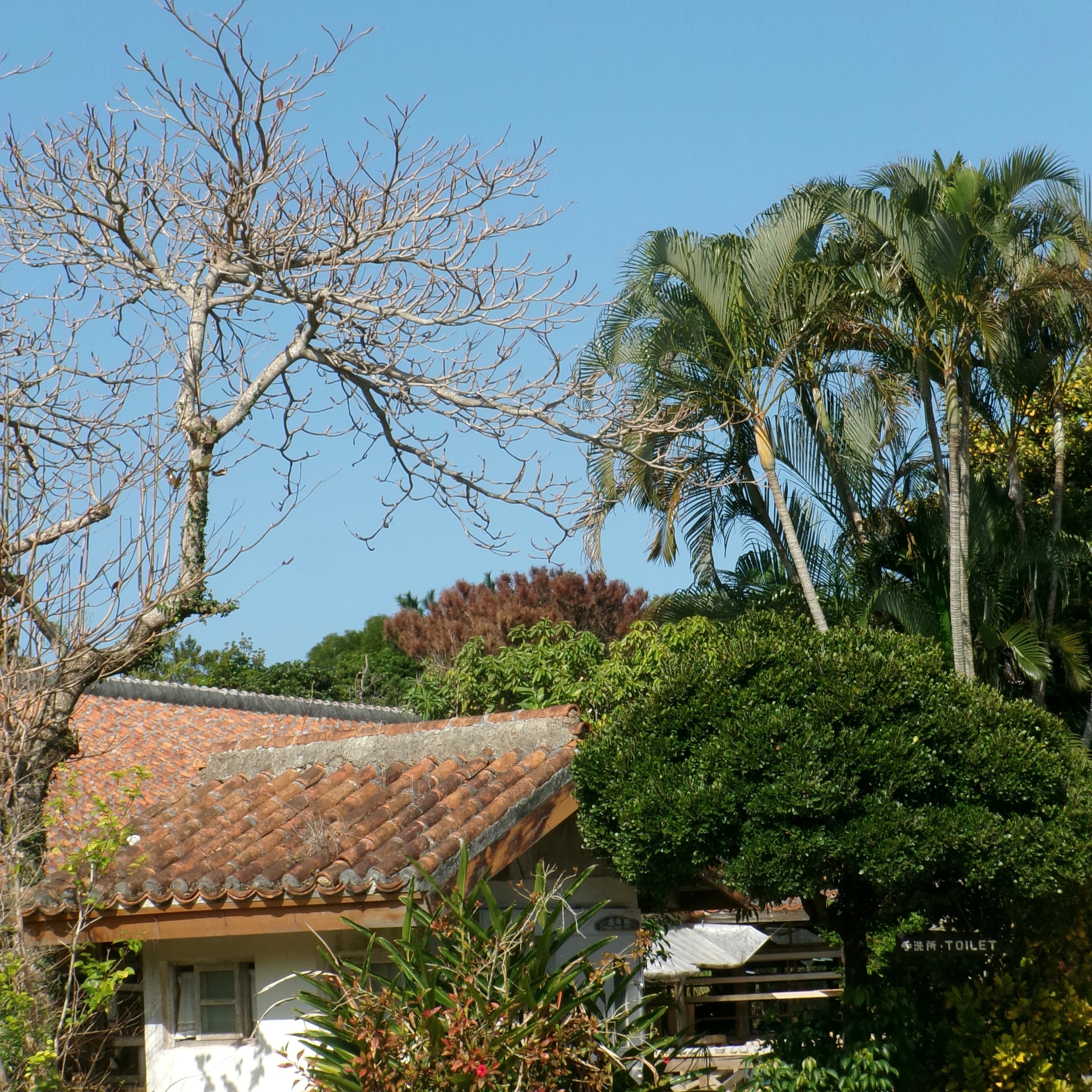 Yachimun no Sato, Okinawa, Japan