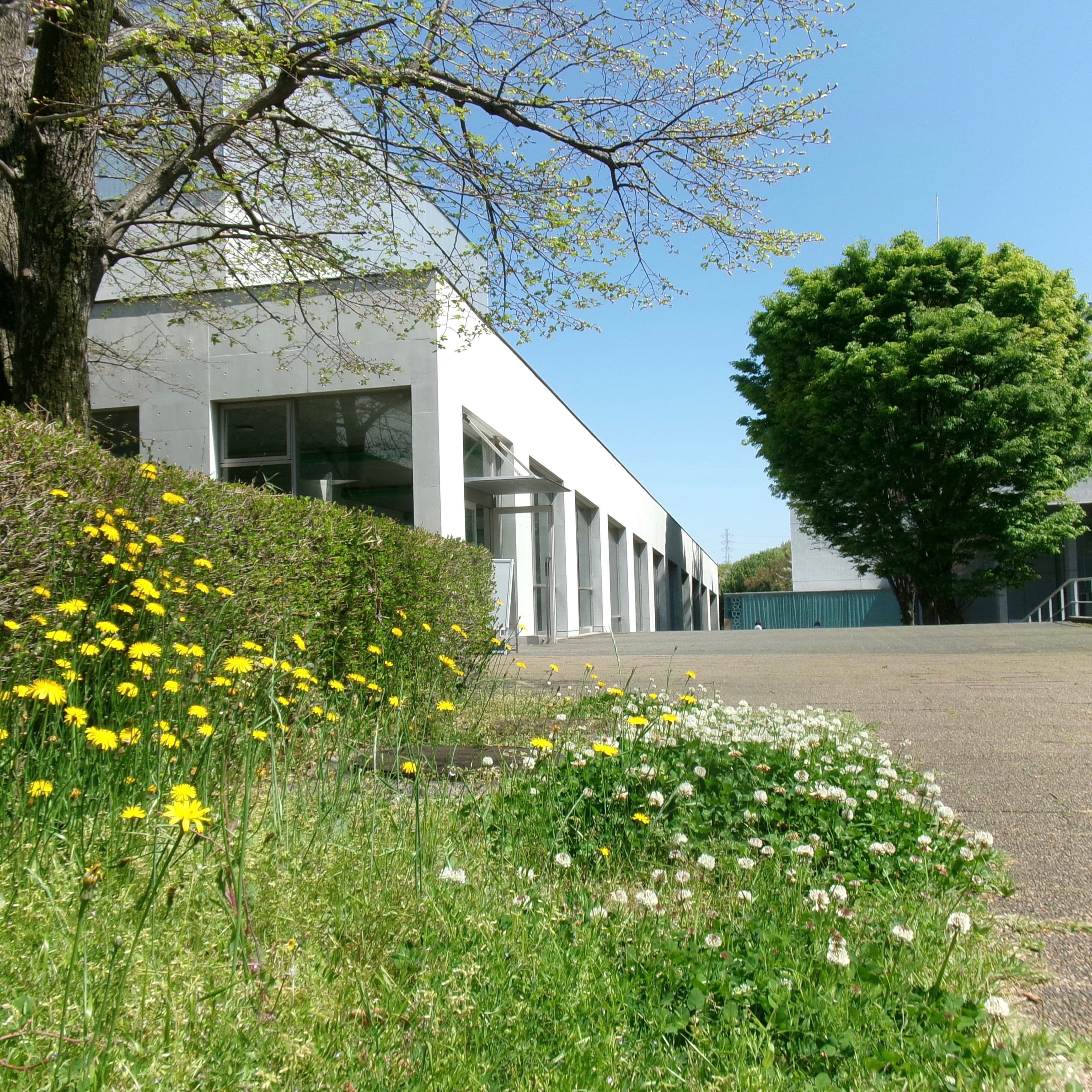 Keio SFC, Fujisawa, Japan
