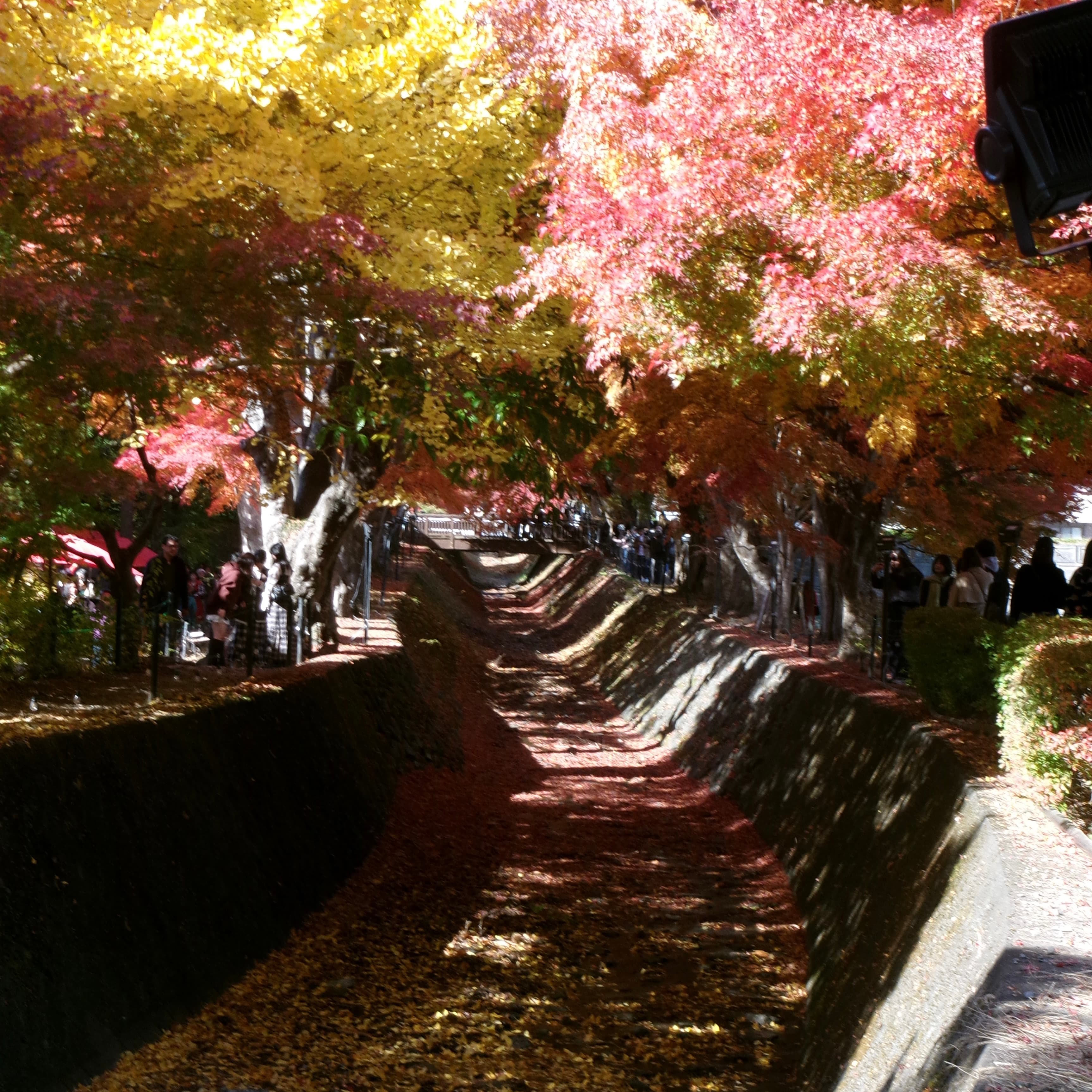 Kawakuchiko, Yamanashi, Japan