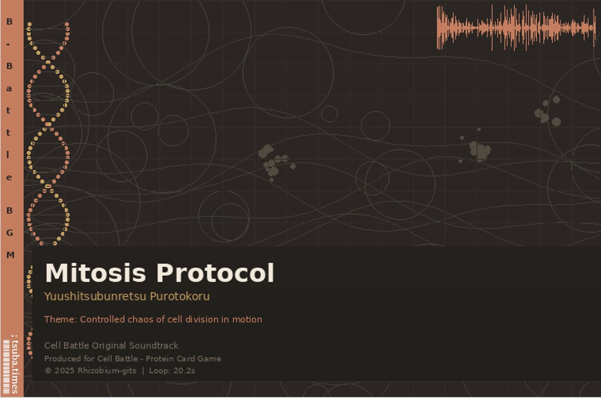 B- Mitosis Protocol